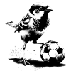 Ulmer Spatz plays football
