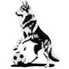 Wolf plays football in Wolfsburg