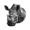 Rhinoceros Head Portrait Animal
