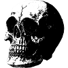 Skull, skull motif