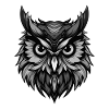Owl Head Portrait Animal