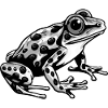 Frog Animal