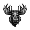 Moose Head Portrait Animal