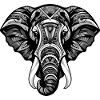 Tête D’éléphant Portrait Animal
