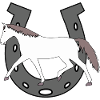 Hestesko, hest, rytter, heste, pony, hvid hest, hoppe