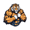 Tigre Muscles Culturisme Bête