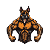 Dog Muscles Fitness Bodybuilding