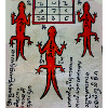 Auspicious Thai Lizard