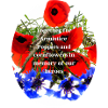 Veterans and Poppy Day