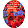 Veterans and Poppy Day