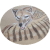 Tasmanian tiger