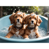 dogs bathing