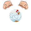 Funny Chicken Saying Chicken