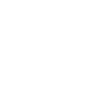 Furry Fandom Fursuits Fox