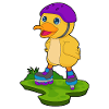 Duck Inline skating Inline skates