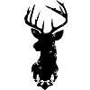 Winter Reindeer 2023