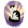 Black White Cat Violetshine Violetshine