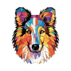 Sheltie Hunderasse bunte Aquarell-Illustration