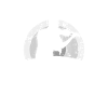 I'd rather play the violin