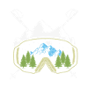 Snowboard goggles