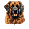 Leonberger