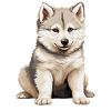 Dog Kishu