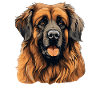 Leonberger