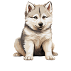 Dog Kishu