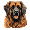 Leonberger