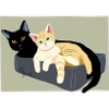 Two Cute Cats