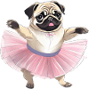 Dancing Pug