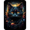 Carlos Klex the Black Cat