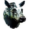 Tapir