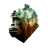 Gorilla