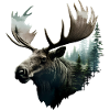 Elk