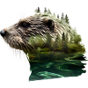 Otter