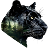Panther