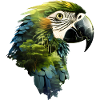 Parrot