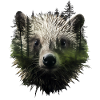 Porcupine