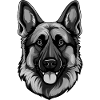 German Shepherd Dog Head Portrait Animal