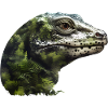 Salamander