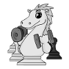 Chess Chess Player Fitness