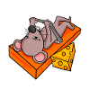 Fitness Mouse Bodybuilding Gym