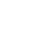 Skeleton Cat