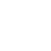 Play drums pet dogs