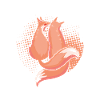You had me with foxes