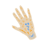 Blue Mystic Palmistry