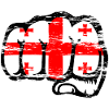 Georgia flag fist used