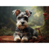 Schnauzer Dog