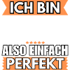 Einfach ein Perfekter Tänzer